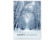 Snowy Winter Path Holiday Greeting Card