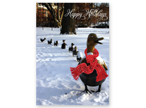 Make Way for Ducklings Boston Regional Card