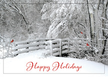 Fresh Air Holiday Cards
