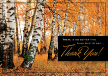 Amber Appreciation Thanksgiving Cards
