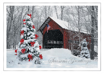 Covered in Magic Holiday Cards