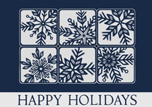 Silvery Snow Holiday Cards