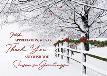 Winter Wishes Holiday Cards