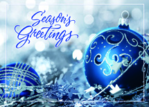 Nestled In Silver Holiday Cards