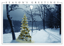 All is Bright Christmas Cards
