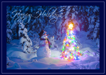Snowy Decorator Christmas Cards