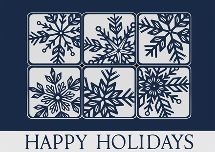 Silvery Snow Holiday Cards