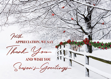 Winter Wishes Holiday Cards