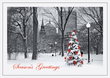 Boston Splendor Christmas Cards
