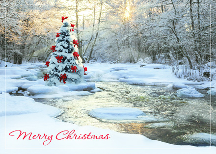 Tranquil Christmas Cards